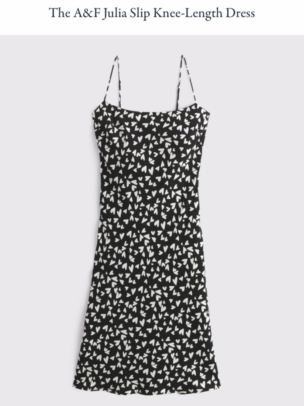 A&F Julia Slip Knee Length Dress | XS | NWT